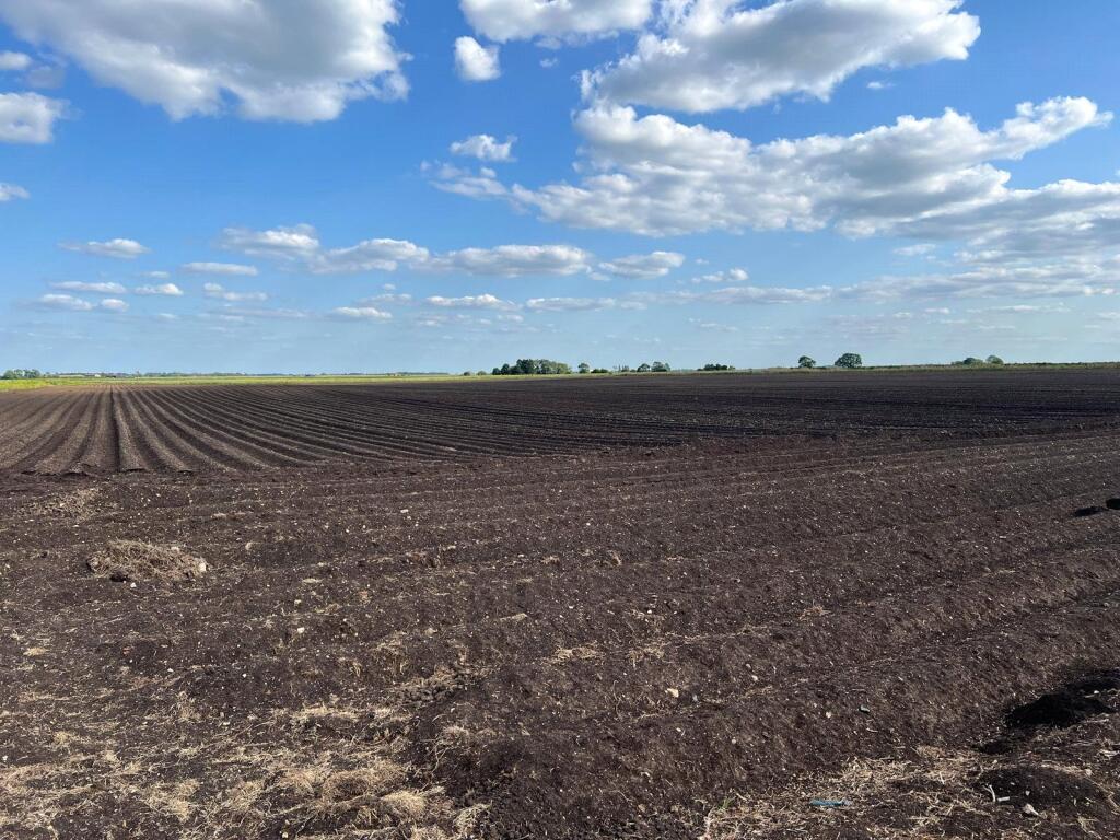 Main image of property: Kirness Drove, Walcott, Sleaford, Lincs, LN4