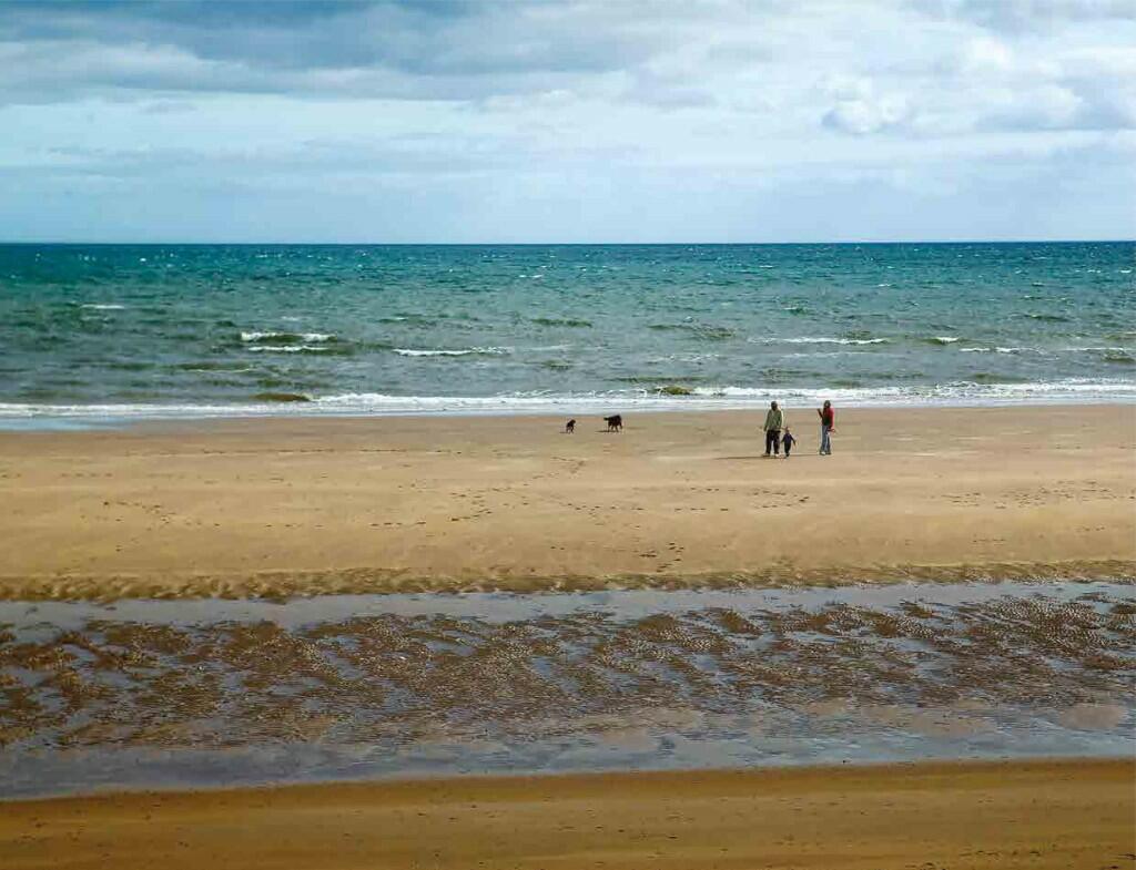 Additional image 7 of Earl Matthew Avenue, Arbroath, Angus, DD11