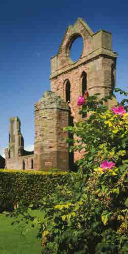 Additional image 5 of Earl Matthew Avenue, Arbroath, Angus, DD11