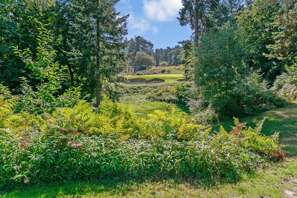 Main image of property: Westwood Road, Windlesham GU20
