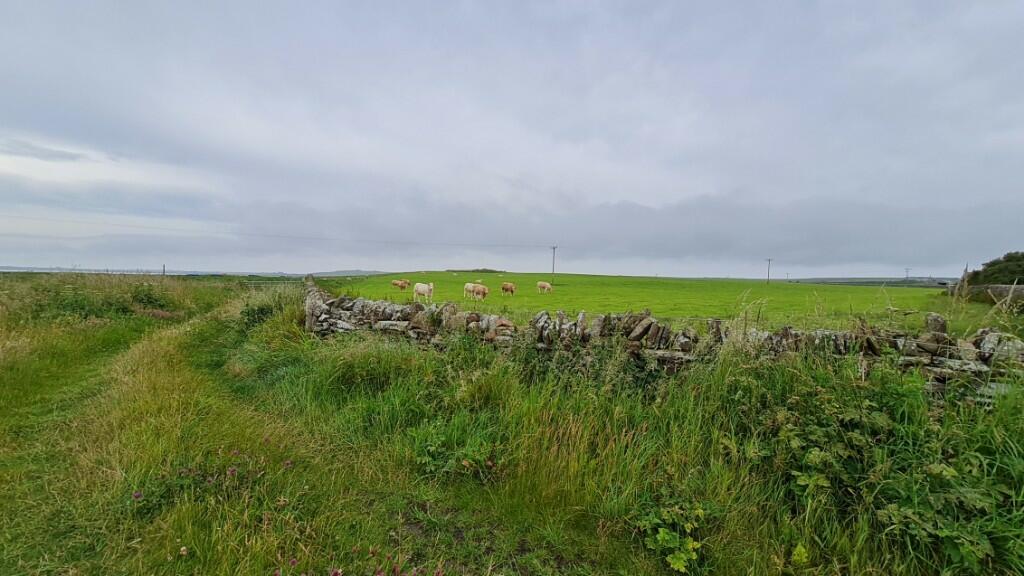 Plot for sale in Sites at Northcliffe, Stronsay, Orkney, Orkney Islands