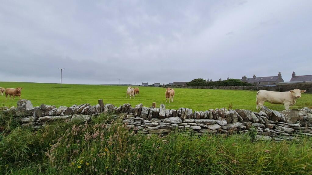 Plot for sale in Sites at Northcliffe, Stronsay, Orkney, Orkney Islands