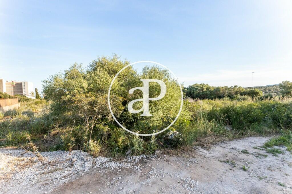 Plot for sale in Manacor, Mallorca, Balearic Islands, Spain