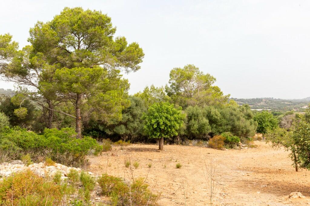 Plot for sale in Manacor, Mallorca, Balearic Islands, Spain
