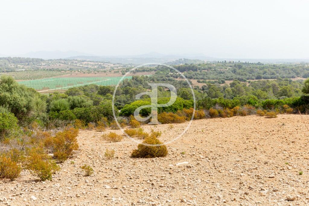Plot for sale in Manacor, Mallorca, Balearic Islands, Spain