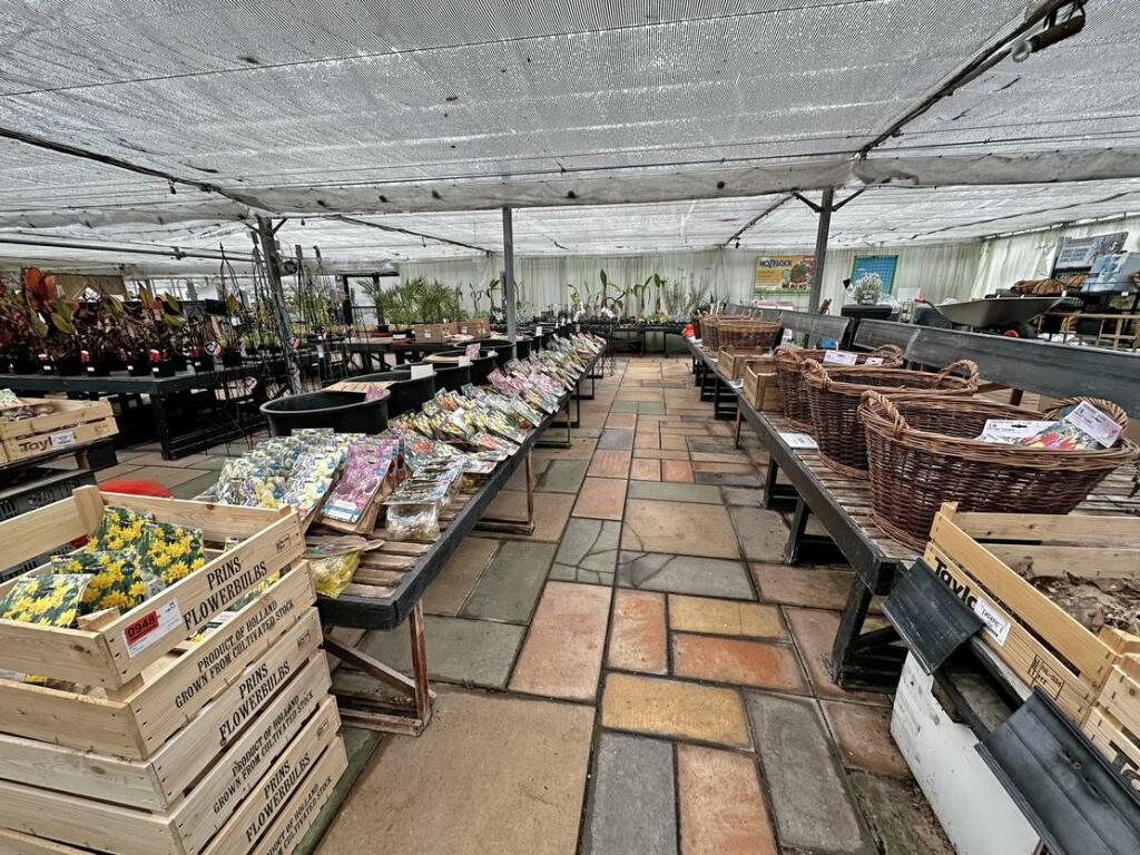 Additional property image - Brynawel Fuchsia & Garden Centre, Sully Road, Penarth, Vale of Glamorgan, CF64 2TR