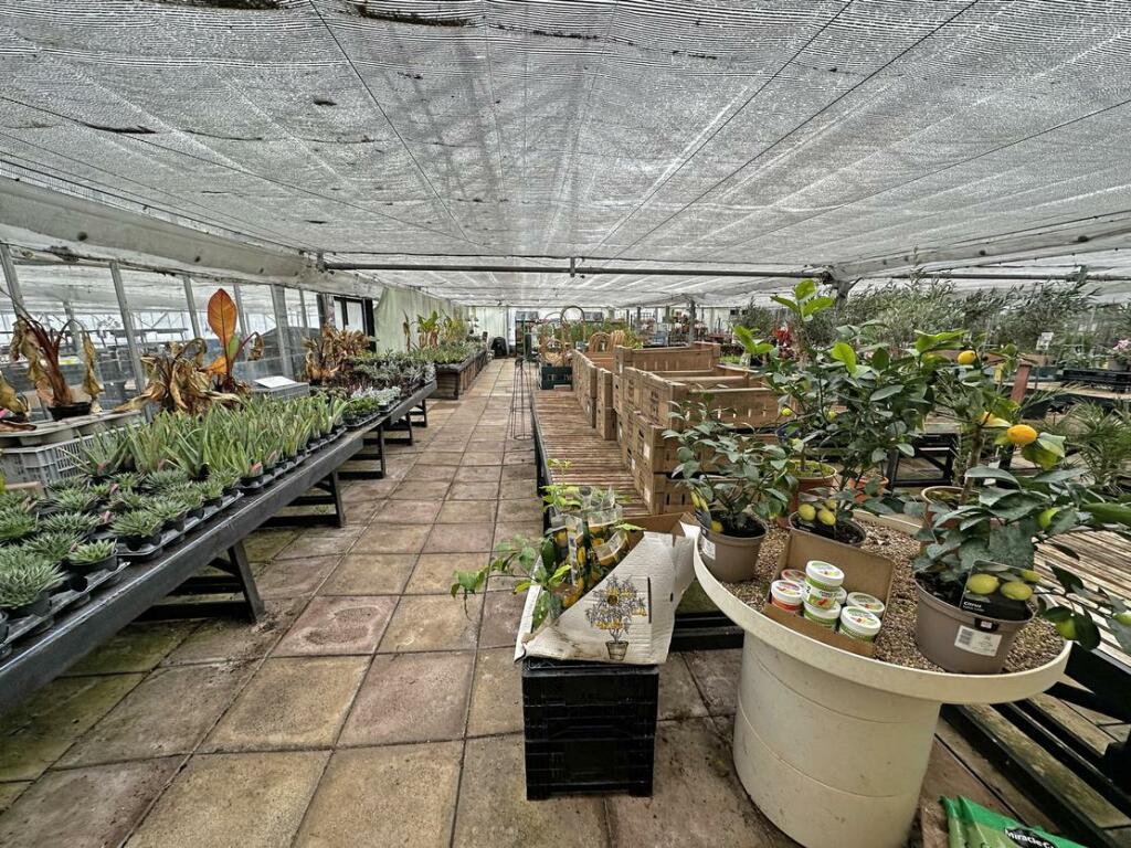 Additional property image - Brynawel Fuchsia & Garden Centre, Sully Road, Penarth, Vale of Glamorgan, CF64 2TR