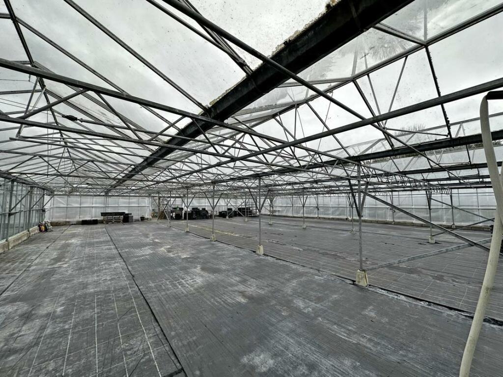Additional property image - Brynawel Fuchsia & Garden Centre, Sully Road, Penarth, Vale of Glamorgan, CF64 2TR