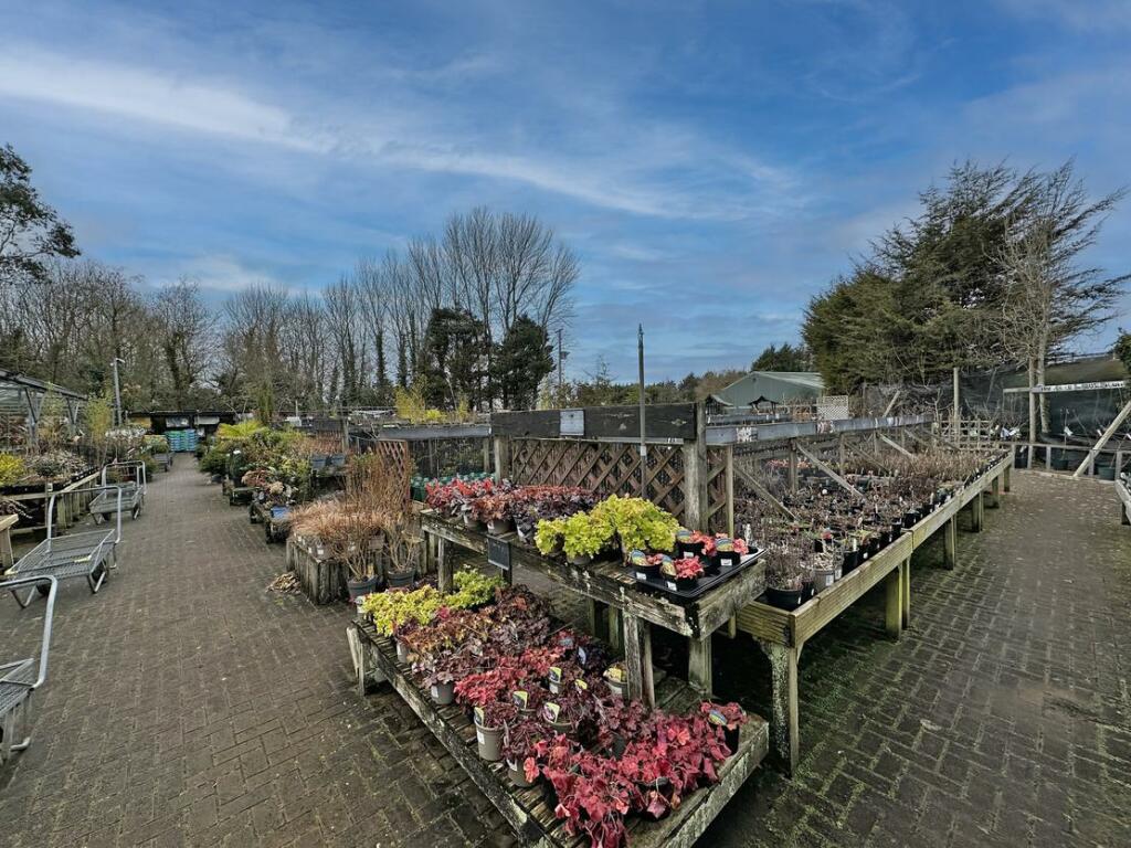 Additional property image - Brynawel Fuchsia & Garden Centre, Sully Road, Penarth, Vale of Glamorgan, CF64 2TR