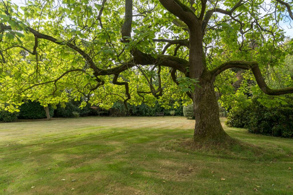 Additional property image - Plummers Road, Fordham, Colchester, Essex, CO6