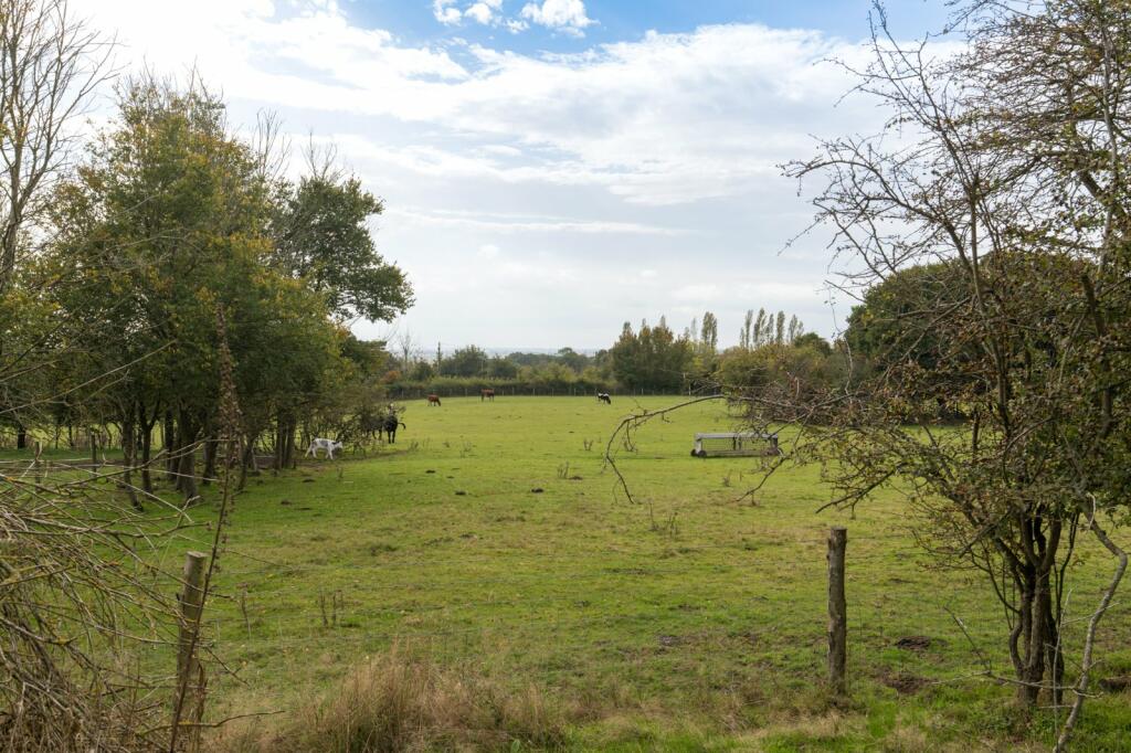 Additional property image - Church Road, Wickham Bishops, Essex, CM8