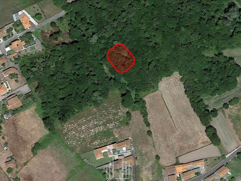 Farm land for sale in Aveiro, Murtosa, Portugal