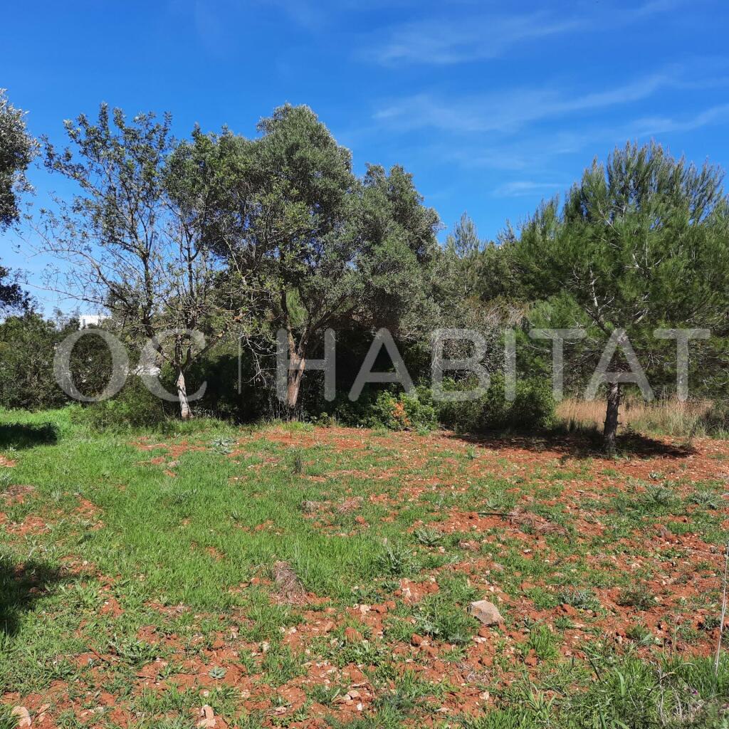 Land for sale in Valencia, Alicante, Denia, Spain