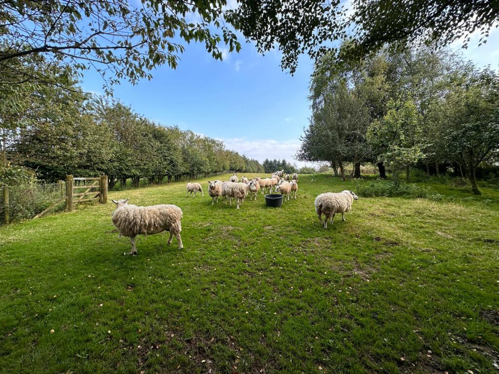 Additional property image - Hethersgill, Carlisle, CA6