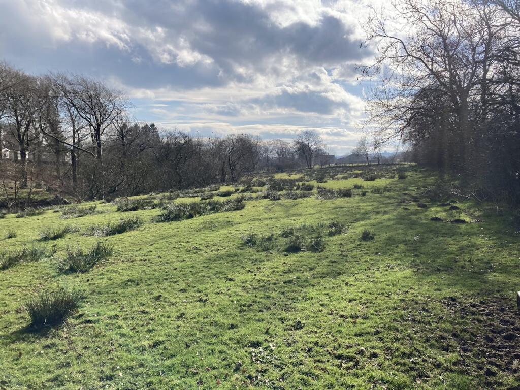 Additional property image - Established letting lodge and land -  N Yorks (Ref: YRK1965), Gisburn Forest Lodge and Land, Skipton, BD23 4SD