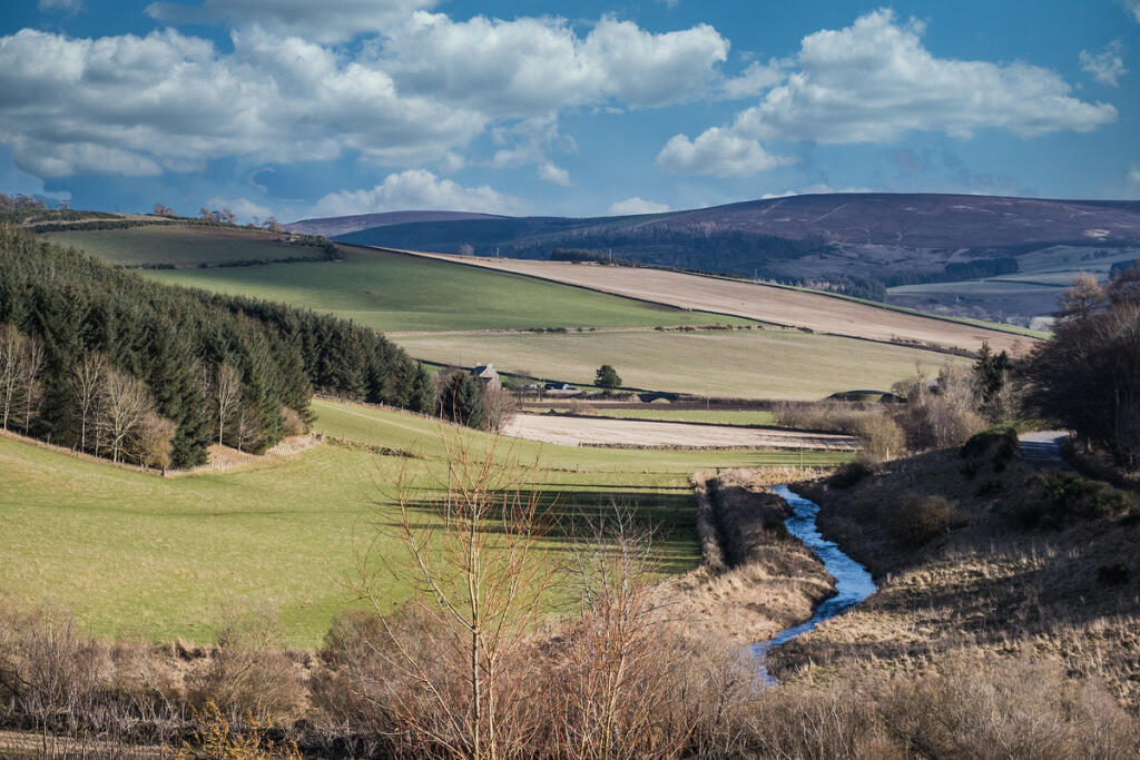Additional property image - Muir Of Fowlis, Alford, AB33
