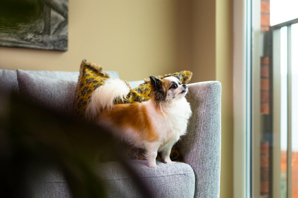 Additional property image - Flat 7, Sherborne Place, Birmingham, B16