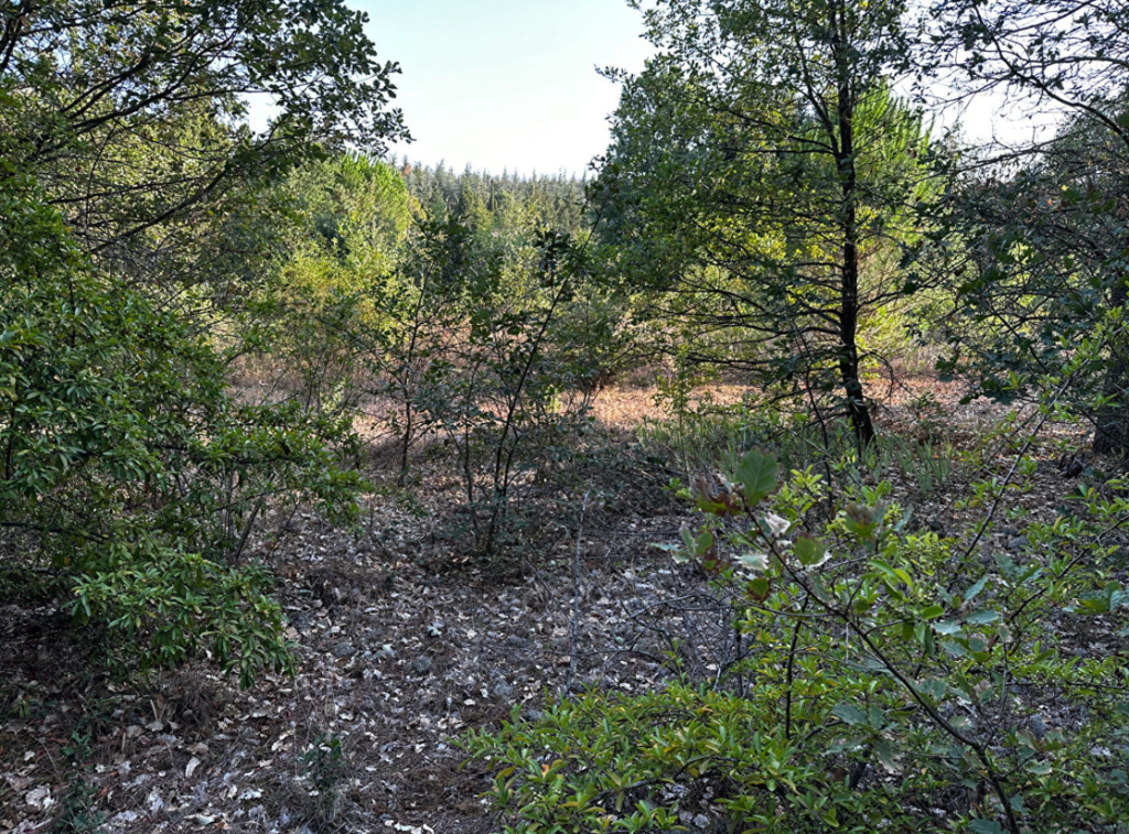 Main image of property: Lauraguel, Aude, Languedoc-Roussillon