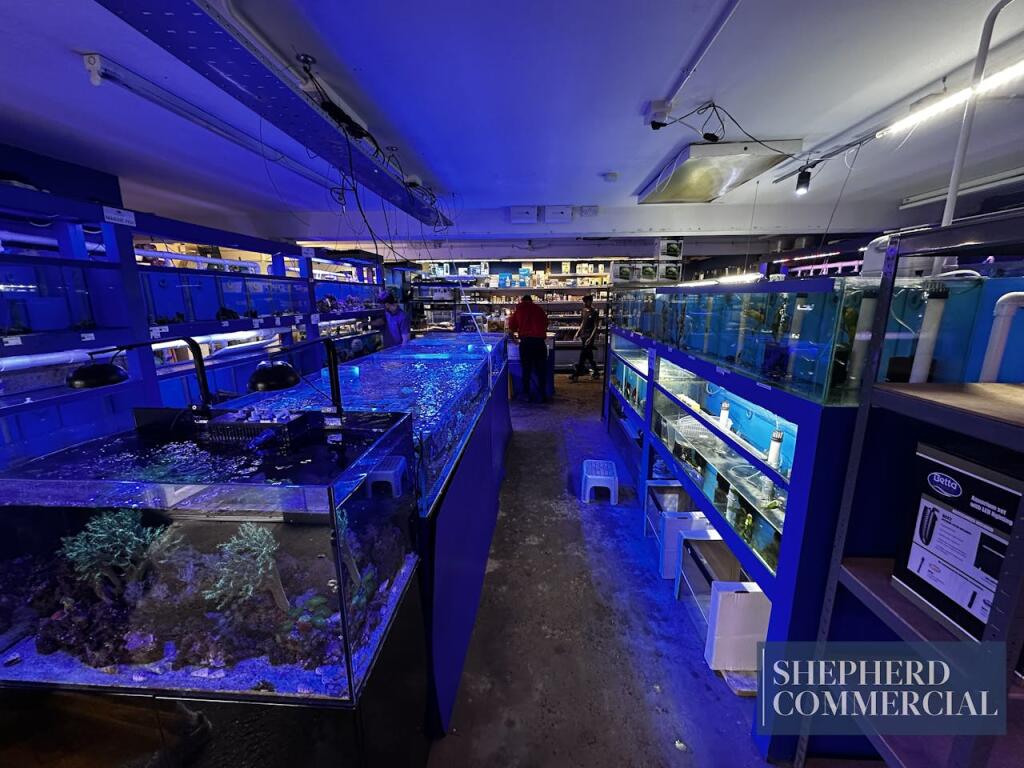 Additional property image - 1A Elliott Road, Birmingham, B29 6LA