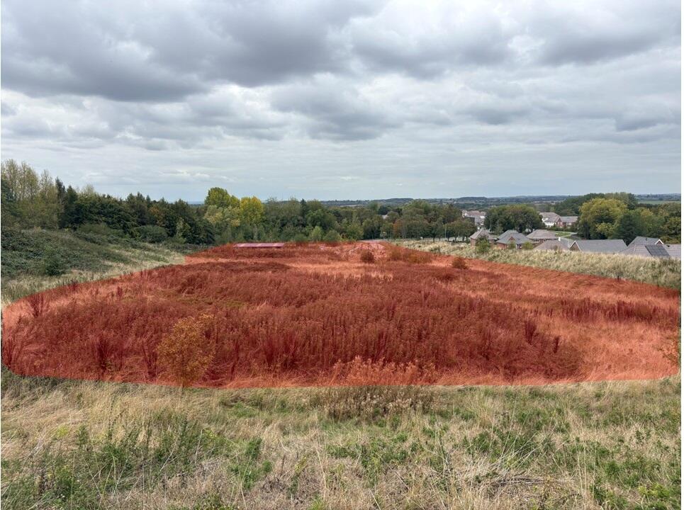 Main image of property: Eagle Drive, Tamworth, Staffordshire, B77