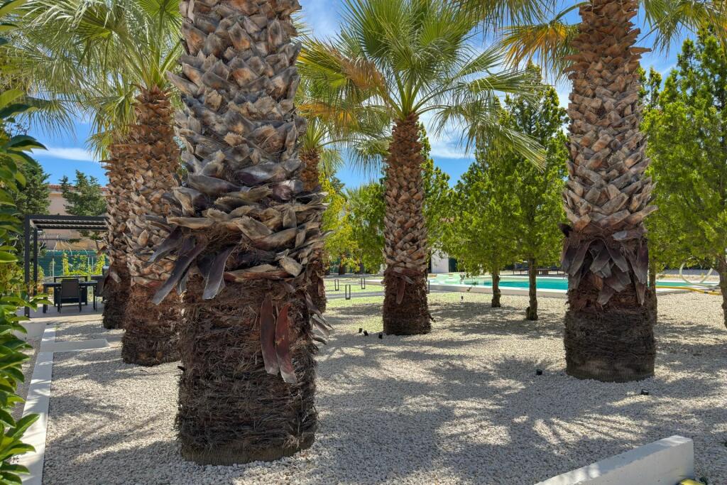 Main image of property: Sicily, Palermo, Partinico