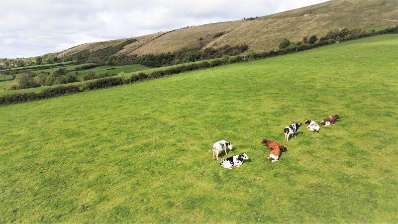 Additional property image - KNITSON - QUIET RURAL LOCATION WITH PADDOCK & AMAZING VIEWS