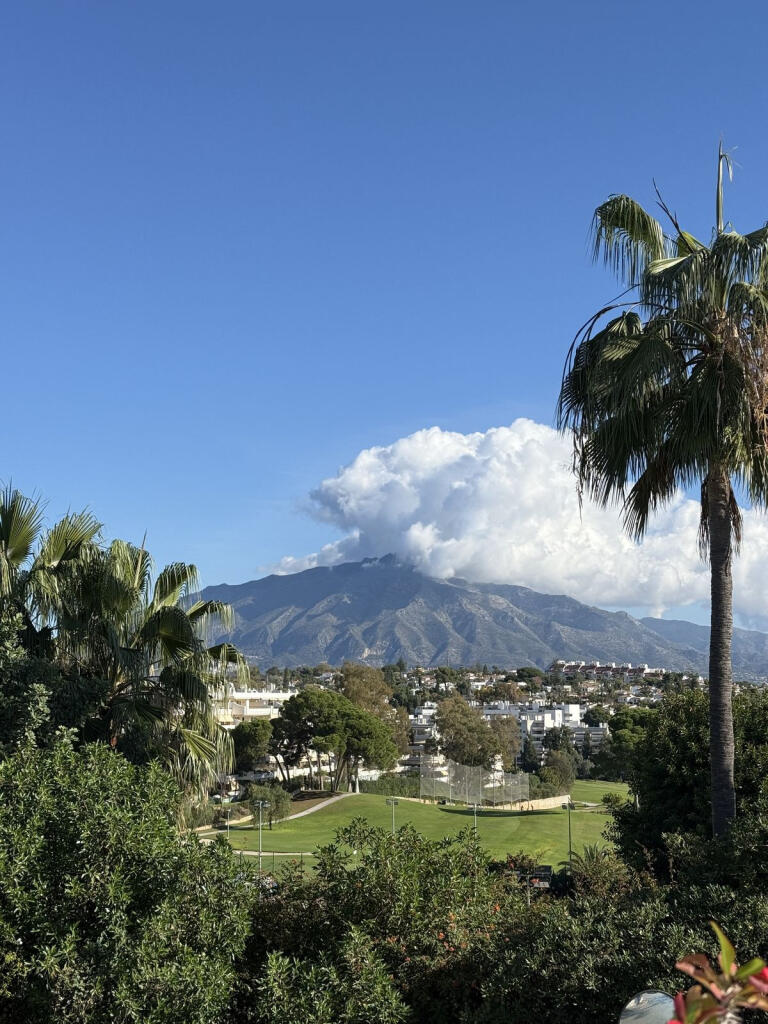 Main image of property: Andalucia, Malaga, Guadalmina Alta