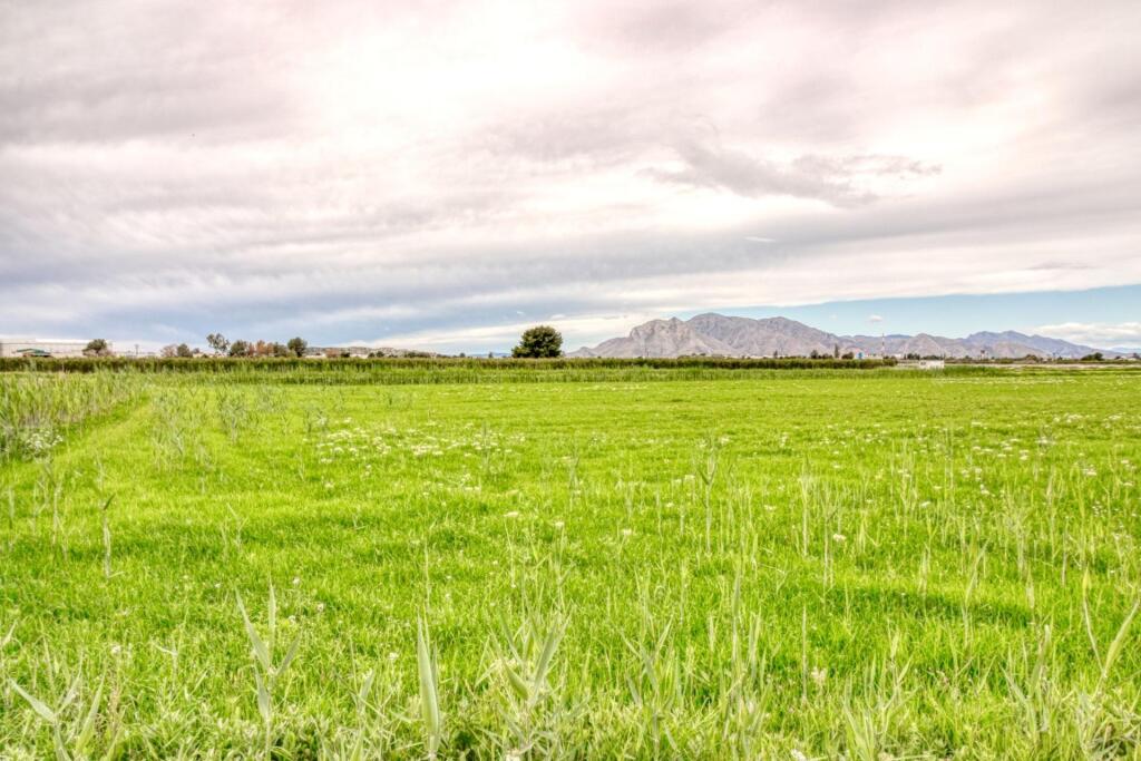 Main image of property: Valencia, Alicante, San Isidro