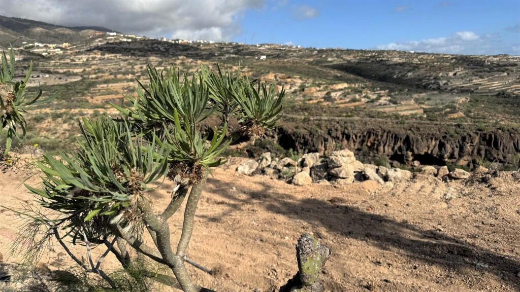 Main image of property: Canary Islands, Tenerife, GüÃmar