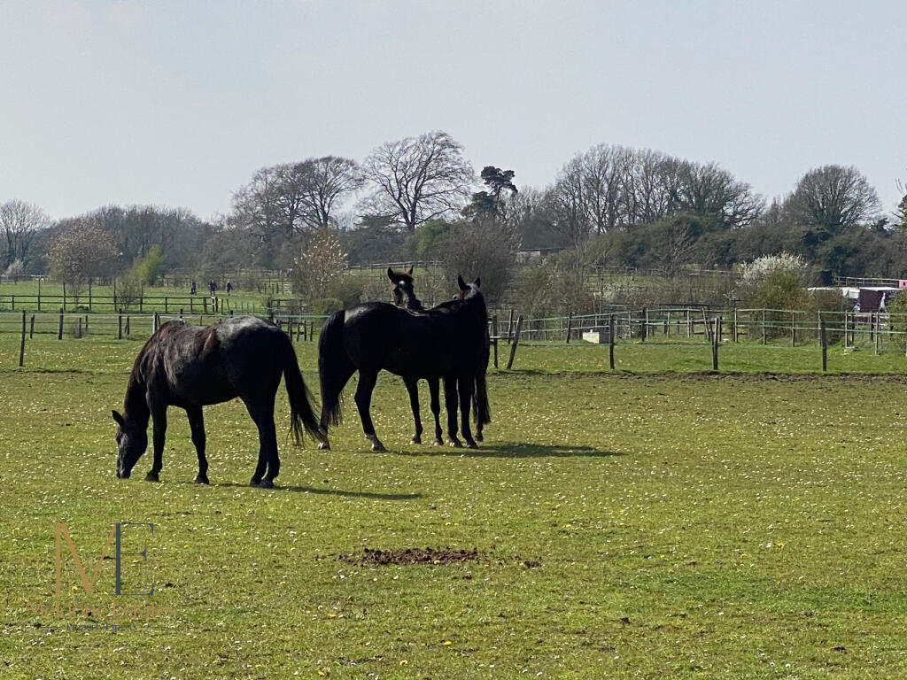 Main image of property: HorseShoe Rise, Round Street, Cobham, Kent