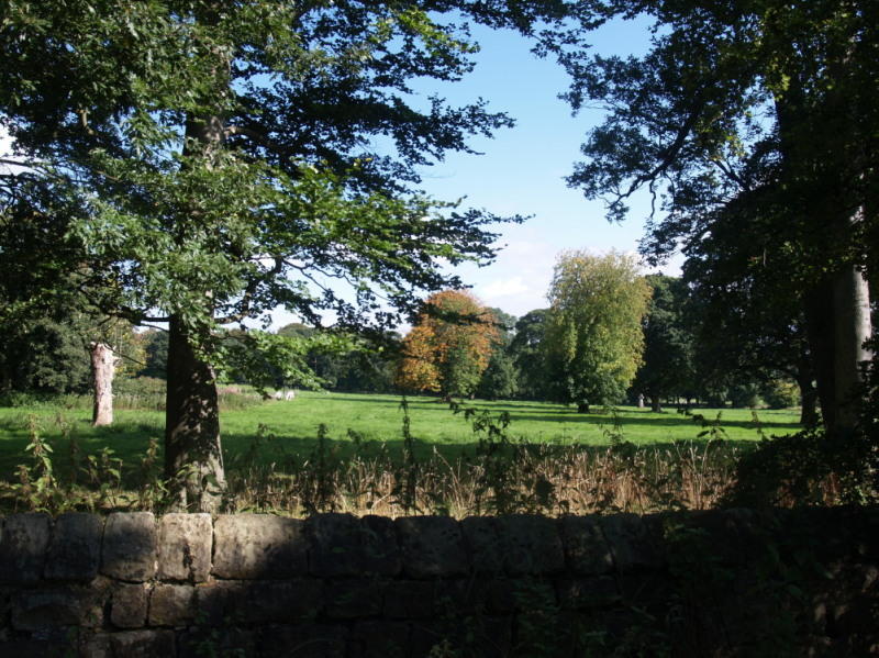 Land for sale in Wetherby Road, LS14