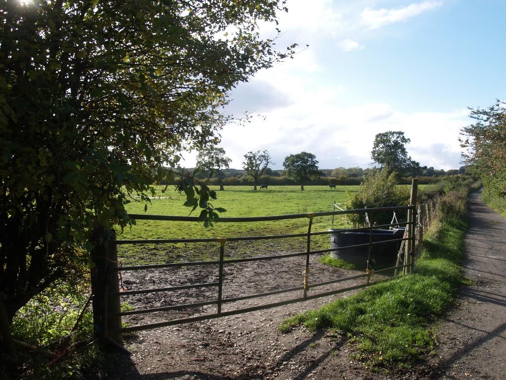 Land for sale in Wetherby Road, LS14