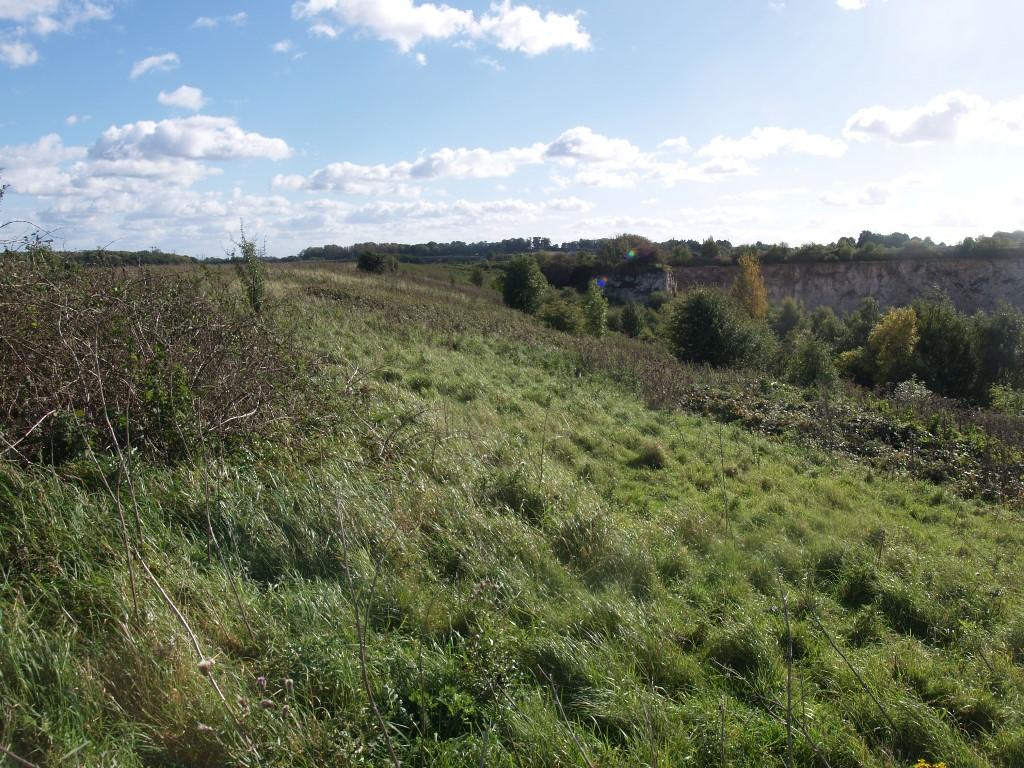 Main image of property: Sherburn in Elmet, Land off Hall Lane, Newthorpe, LS25 6JS