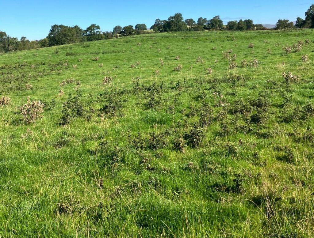 Additional property image - Land At Crosby Garrett, Kirkby Stephen