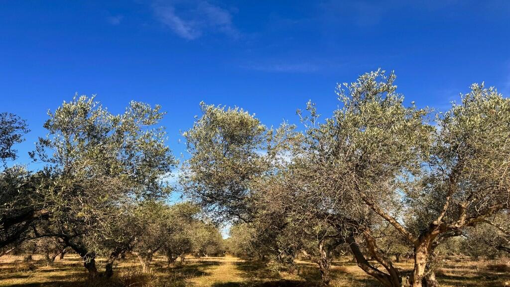 Land for sale in Loutra, Rethymnon, Crete, Greece