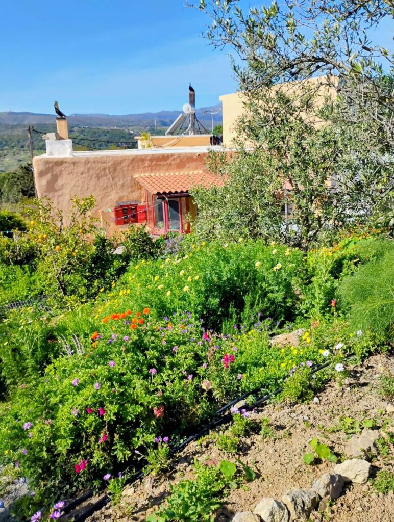 Main image of property: Crete, Rethymnon, Armenoi