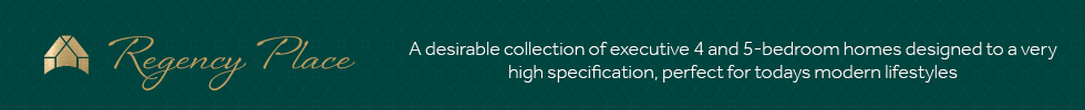 Get brand editions for Stonebridge Homes