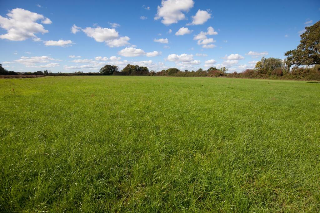 Main image of property: Land Adjacent To The A31, Corfe Mullen, Wimborne, BH21
