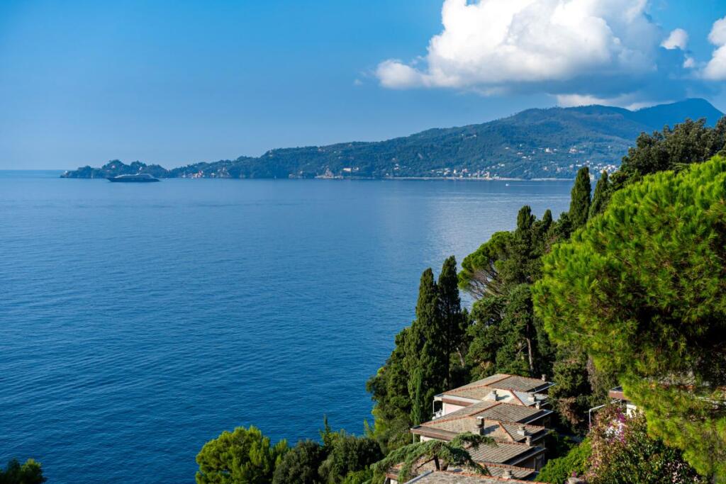 Main image of property: Liguria, Genoa, Zoagli