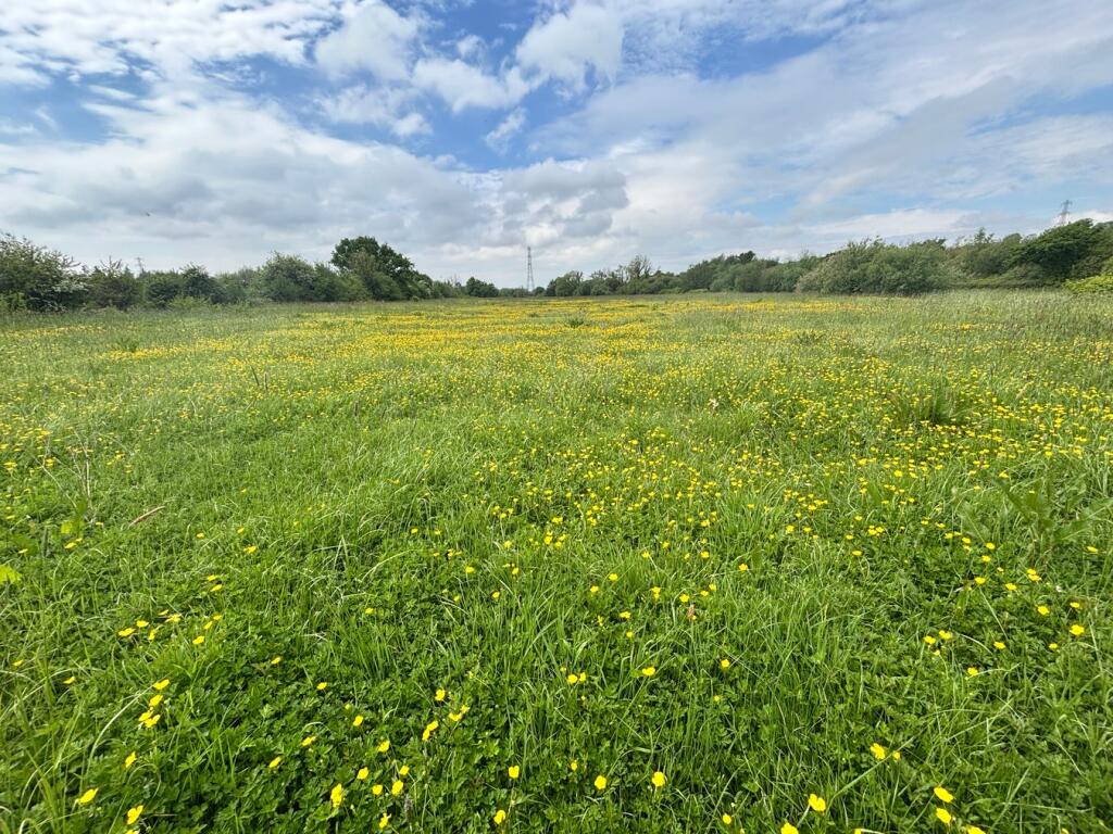 Main image of property:  Kidwelly, SA17