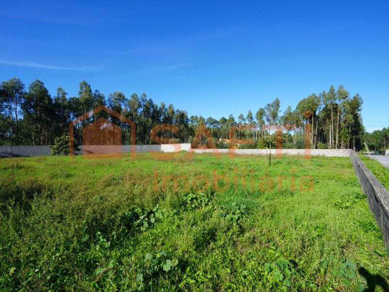 Main image of property: Leiria, Maceira