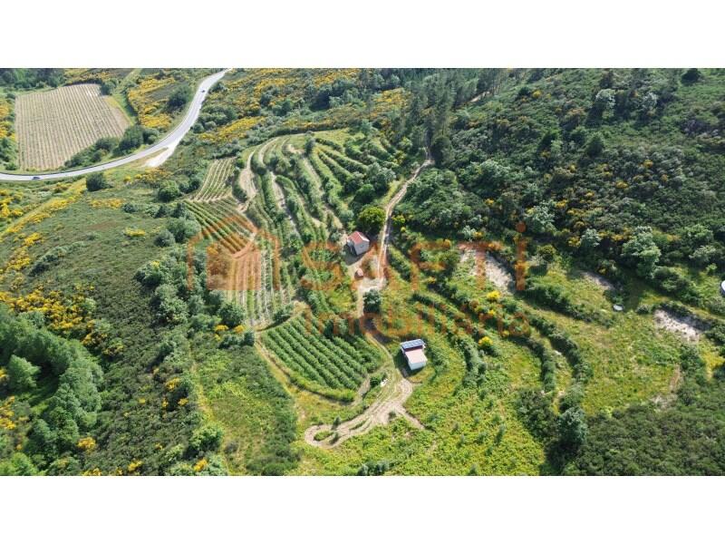 Main image of property: Beira Alta, Mangualde