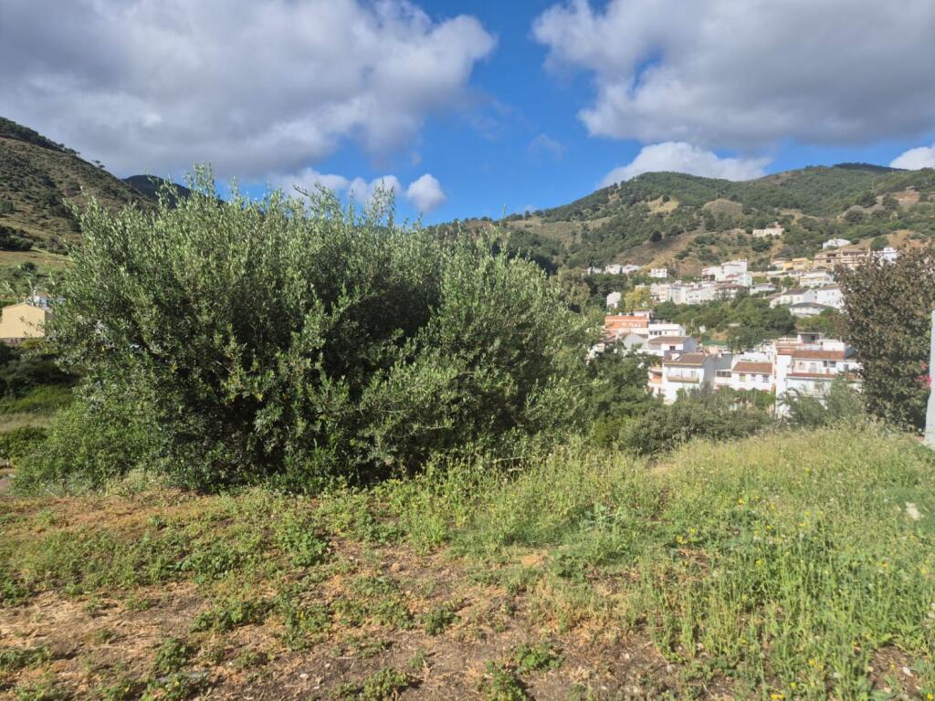 Main image of property: Andalucia, Malaga, Tolox