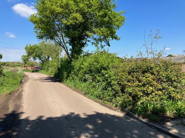 Additional property image - Brook Lane, Great Baddow