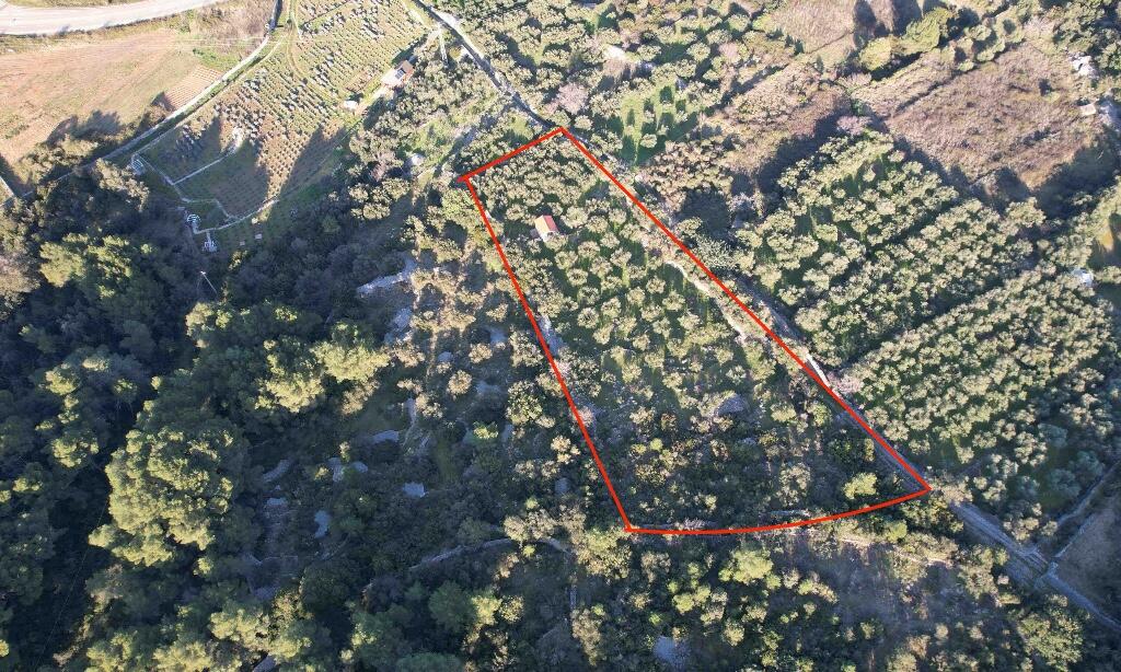 Main image of property: Jelsa, Split-Dalmatia