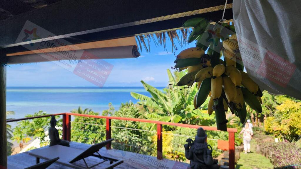 Main image of property: Nadi