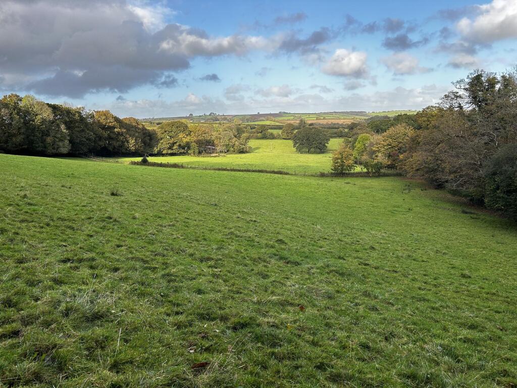 Main image of property: PL15 7PD