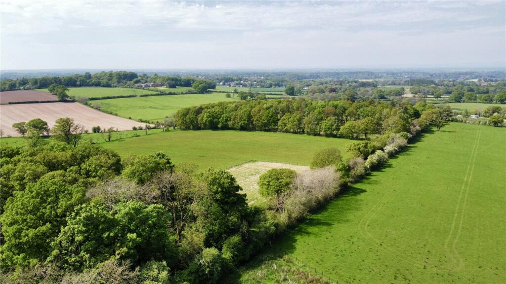Additional property image - Lot 8: Land and Woodland At Skitebeck, Great Corby, Carlisle, Cumbria, CA4