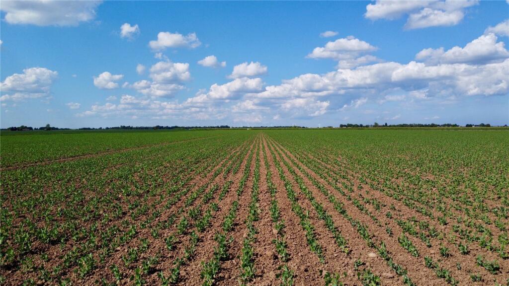 Main image of property: Land At Reedness, Goole, East Yorkshire, DN14