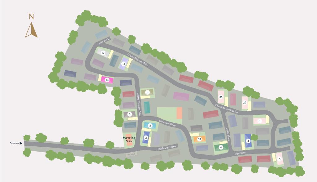 Site Plan